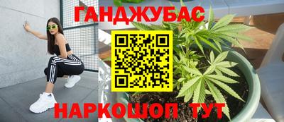 прущие грибы Будённовск
