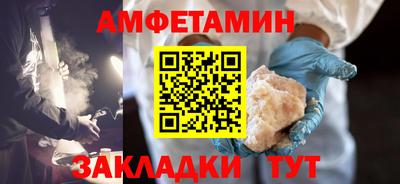 прущие грибы Будённовск
