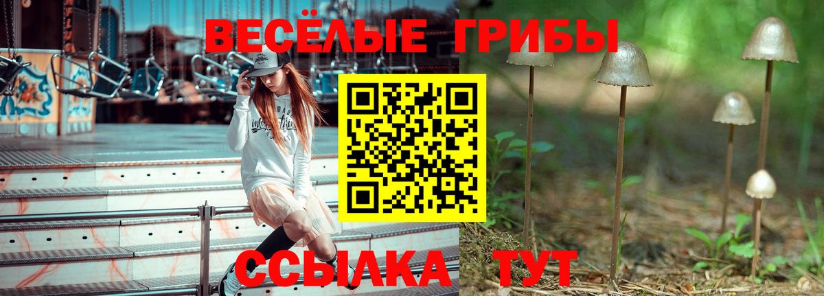 Галлюциногенные грибы мицелий Углич