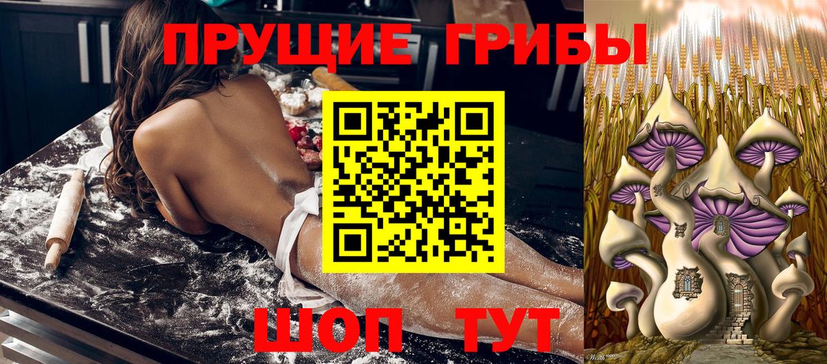 Псилоцибиновые грибы Psilocybe  Вход с VPN  купить закладку  Углич 